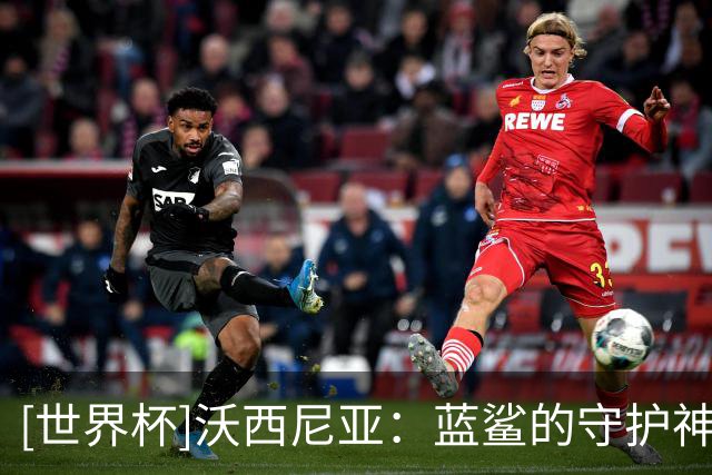 [世界杯]沃西尼亚：蓝鲨的守护神